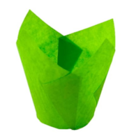 Muffiny  Tulipan   zielone  op.200 szt. 160x50