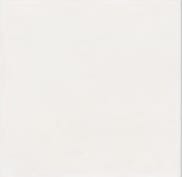 Serwetki 40x40cm flizelinowe skł. białe  op.50 szt. (8)