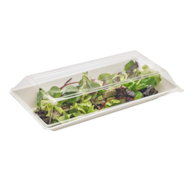 Tacki pulpa Eco-design 26x13x2,8cm  op.50 szt. (10)**