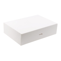 Pudełko 31x22x8 biało-b. op.15 szt. (8) 39839 ++