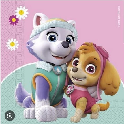 Serwetki - Dziecięce  33x33cm  op.20 szt.  Paw Patrol Skye & Everest