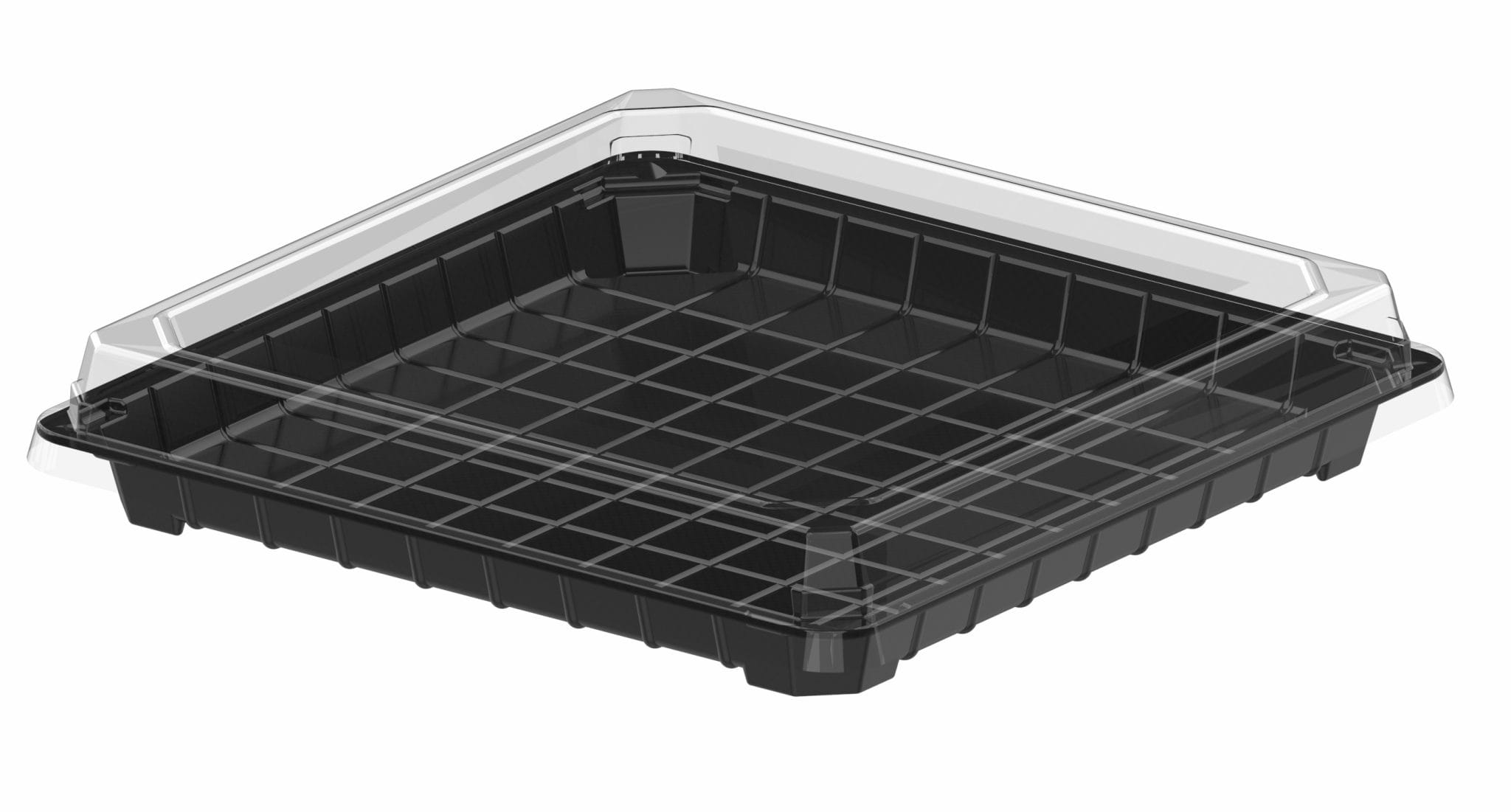 Poj. na sushi 26,9x26,9x4,6cm  PET   op.25 szt. (3) K-304PET  (kpl.góra+dół)