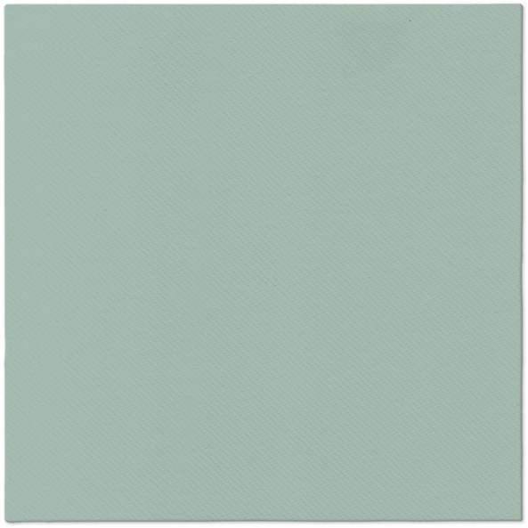 Serwetki 40x40cm flizelinowe skł. zielone jasne  (light green)  op.50 szt. (8)