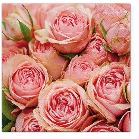 Serwetki 33x33cm  skł. 3-warst.  op.20 szt. Lots of Roses    TL120300