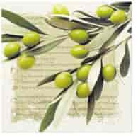 Serwetki 33x33cm  skł. 3-warst.  op.20 szt. Greek Olives SLD087500