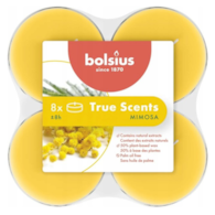 Świeczki-podgrzewacze zapachowe  op.8 szt. maxi  mimosa