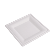 Talerz pulpa kwadrat średni; op.50 szt. 20x20cm   (10)
