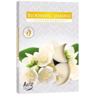 Świeczki-podgrzewacze zapachowe  op.6 szt. p15-169  kwitnący jaśmin; Aura