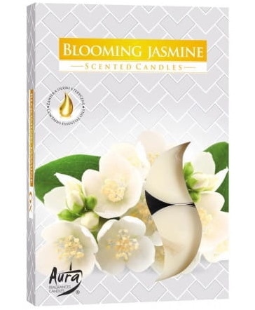 Świeczki-podgrzewacze zapachowe  op.6 szt. p15-169  kwitnący jaśmin; Aura