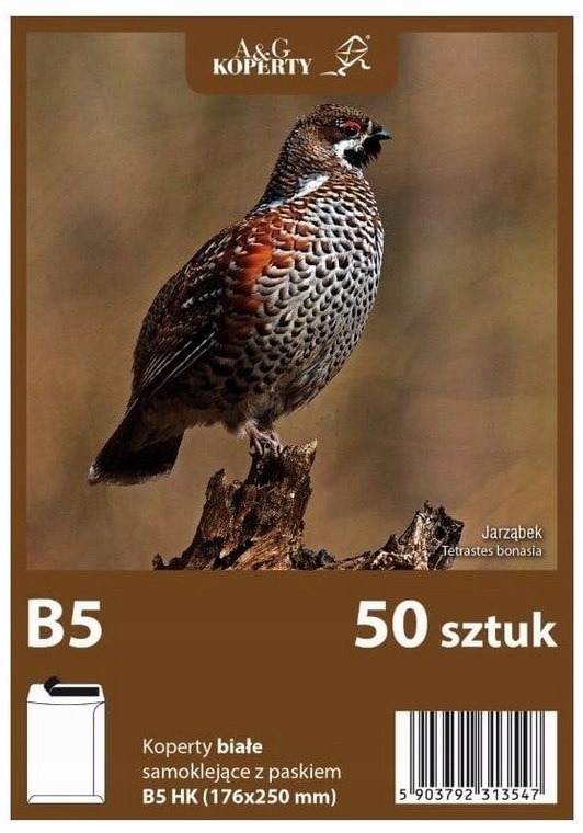 Koperta biała  B5 HK  op.50 szt.