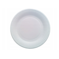 Talerz papier. 24cm  op.100 szt. (7)